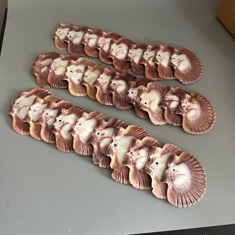 29pc Natural Purple Scallop Shells Pre-Drilled Hole Bulk Sea Shells for Crafts